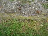 image of grave number 344633